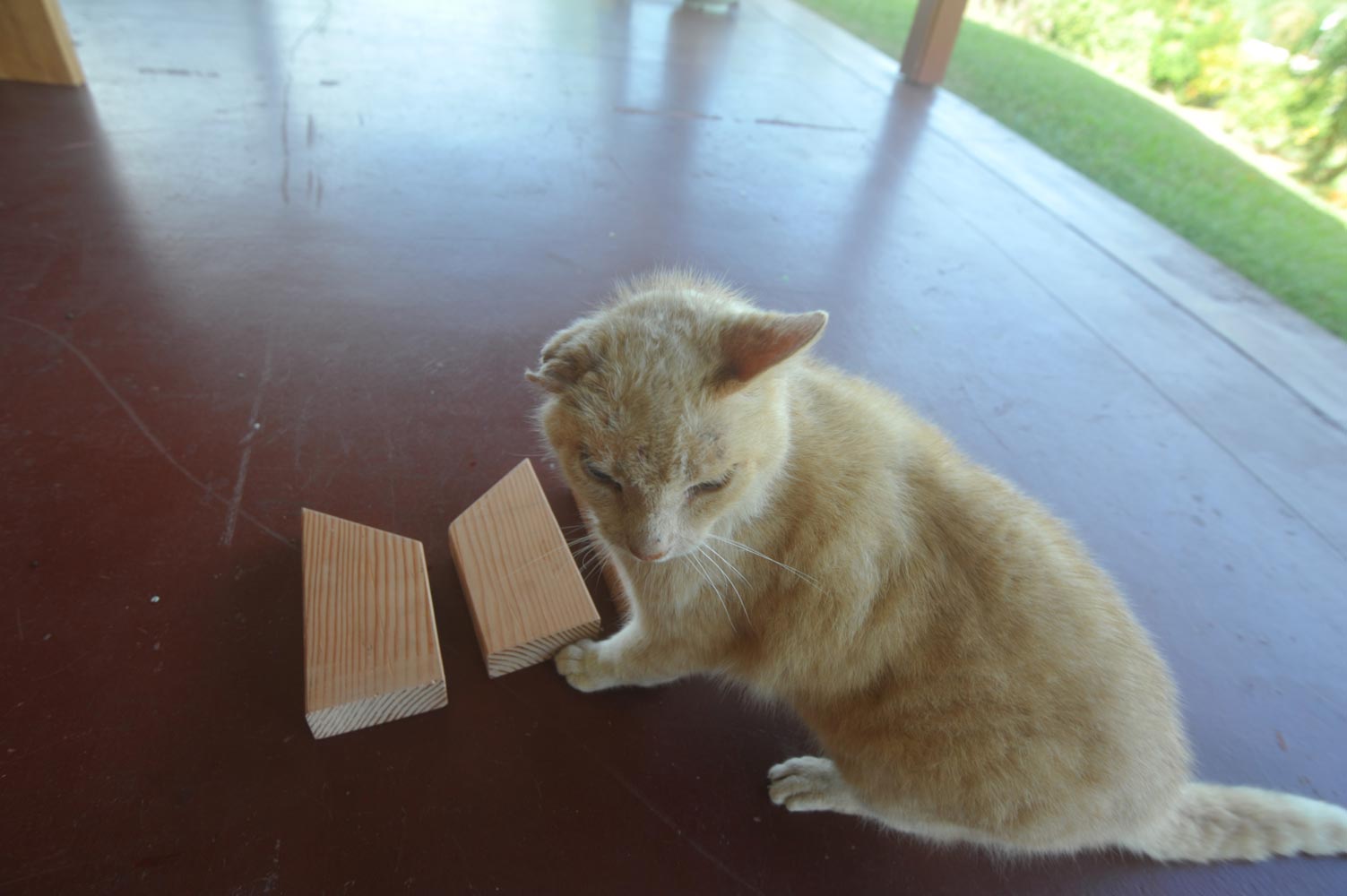 自作60cmドブソニアンの製作過程写真