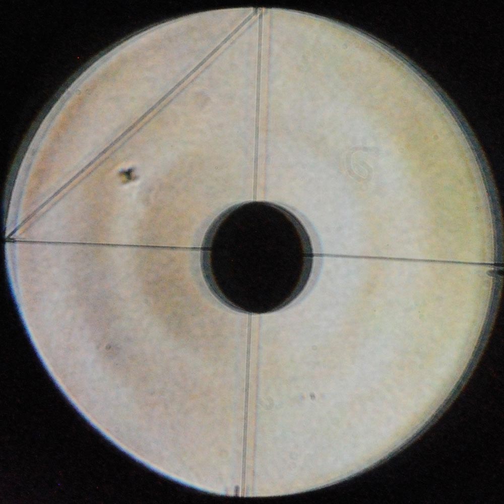 自作60cmドブソニアンの製作過程写真