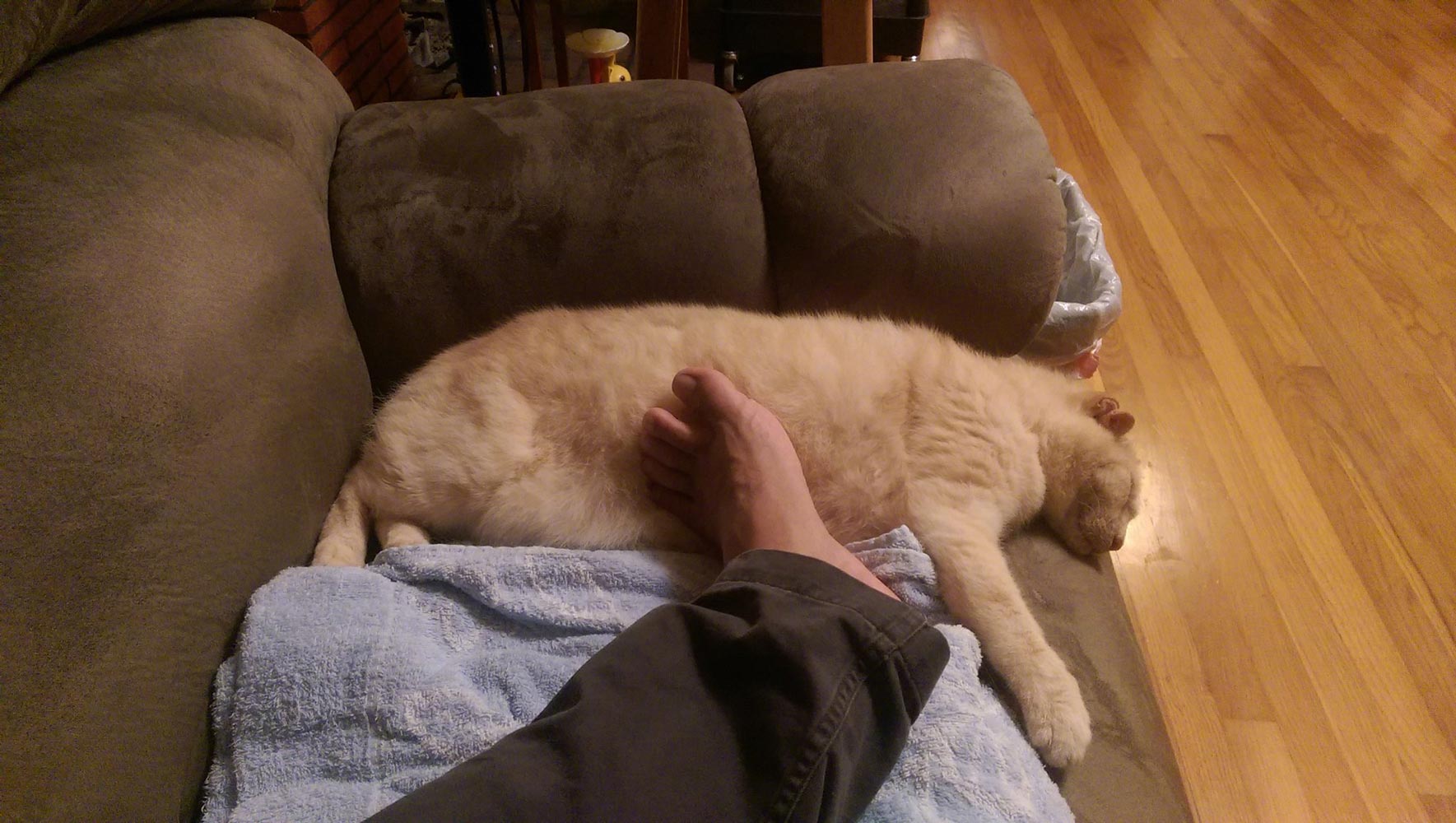 自作60cmドブソニアンの製作過程写真