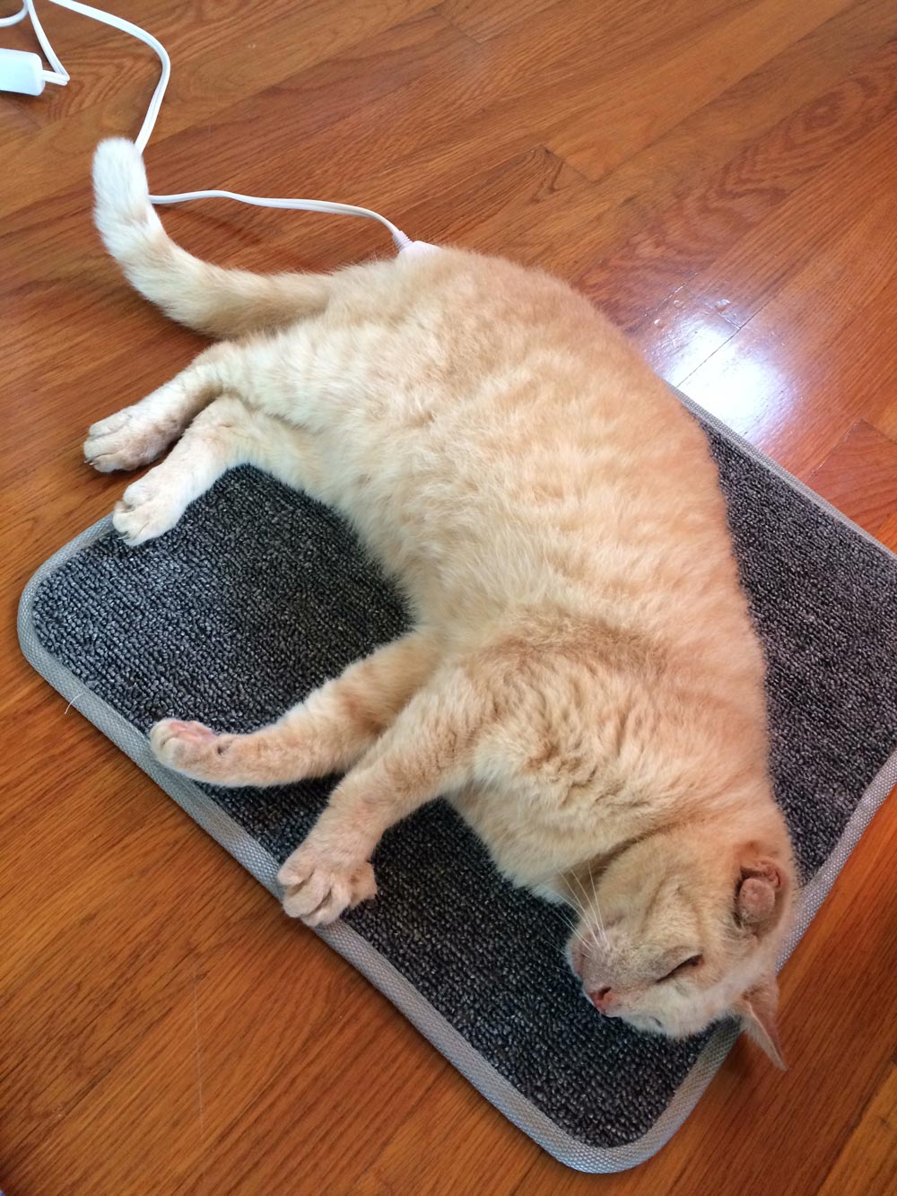 自作60cmドブソニアンの製作過程写真