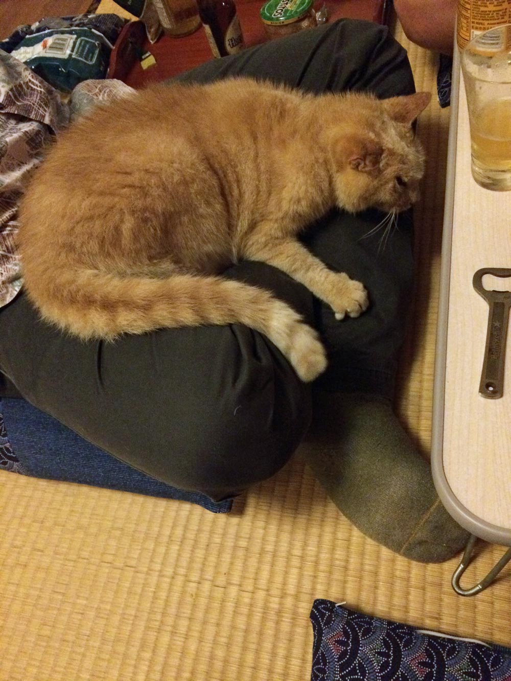 自作60cmドブソニアンの製作過程写真