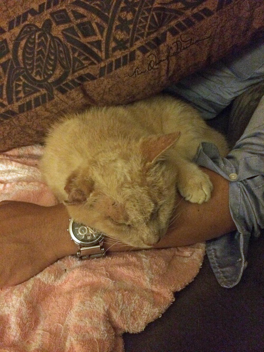 自作60cmドブソニアンの製作過程写真