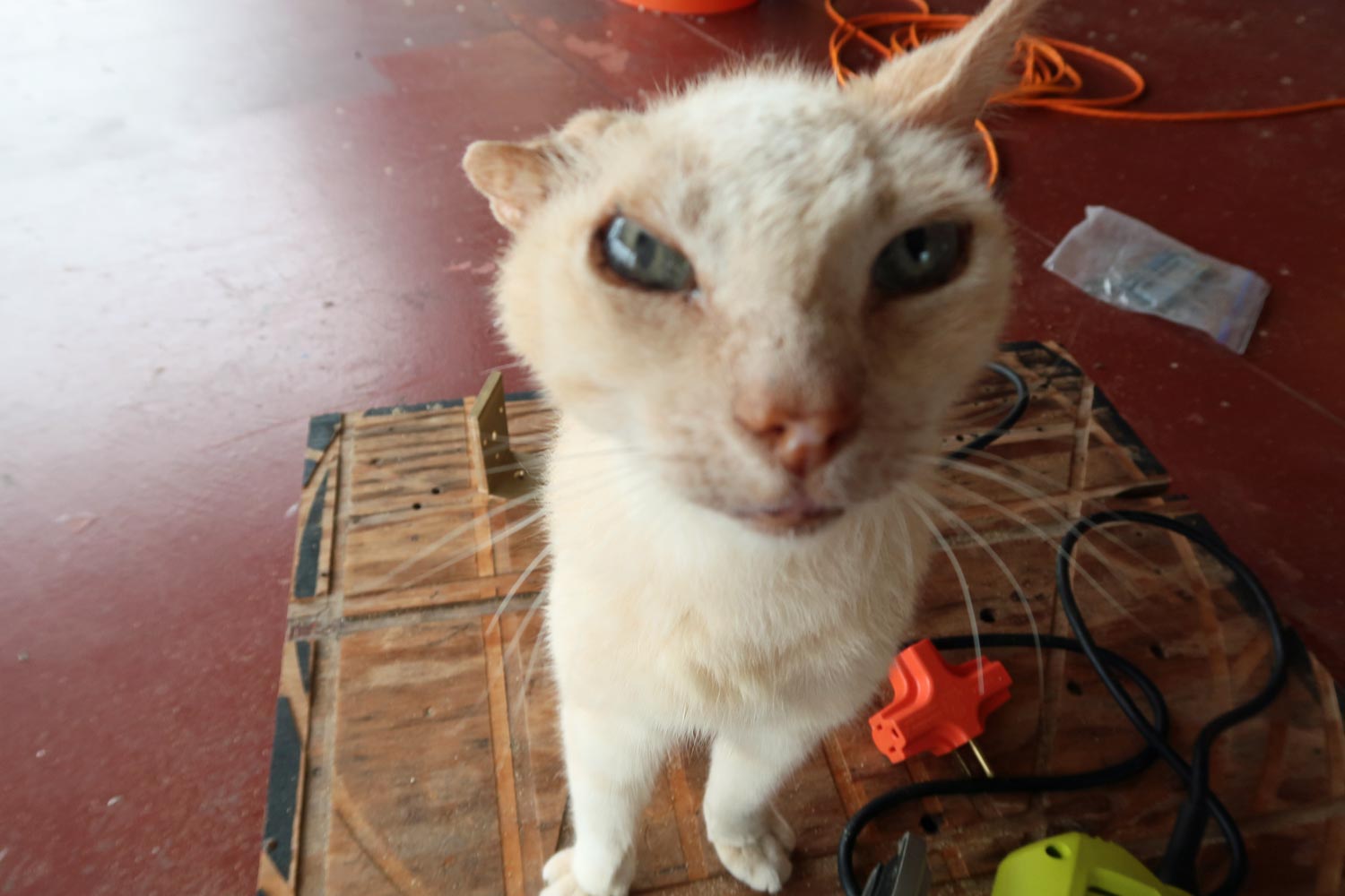 自作60cmドブソニアンの製作過程写真