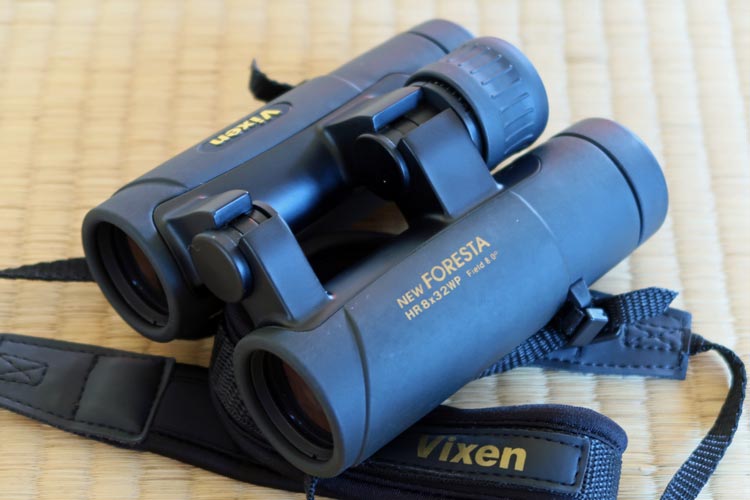 New Foresta HR8x32WP