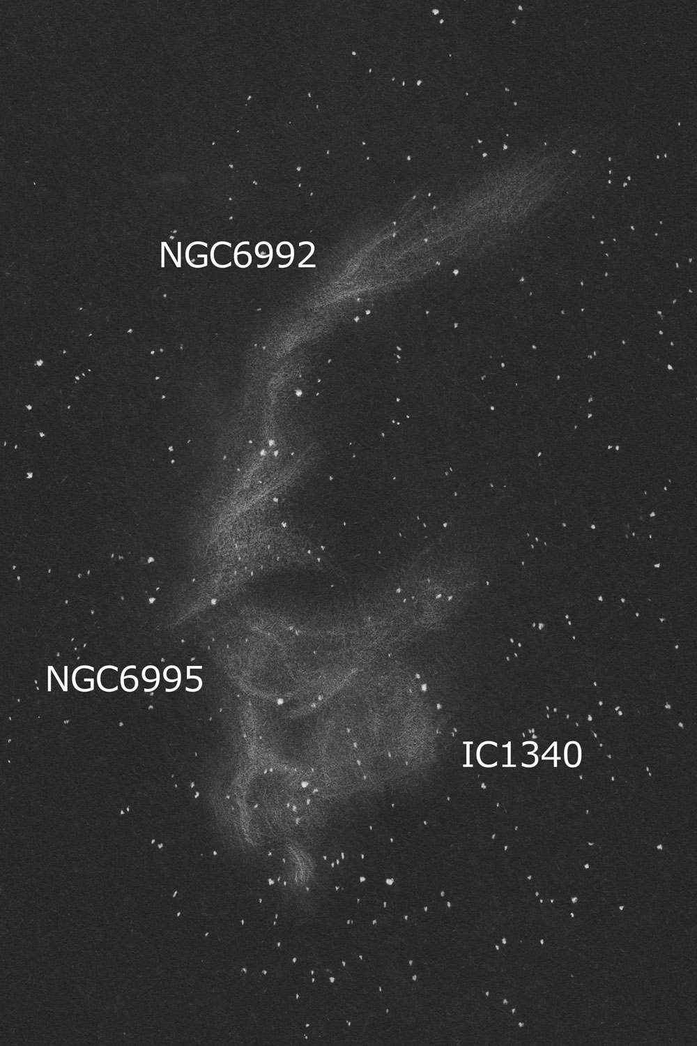C34網状星雲 (NGC6992, NGC6995) のスケッチ