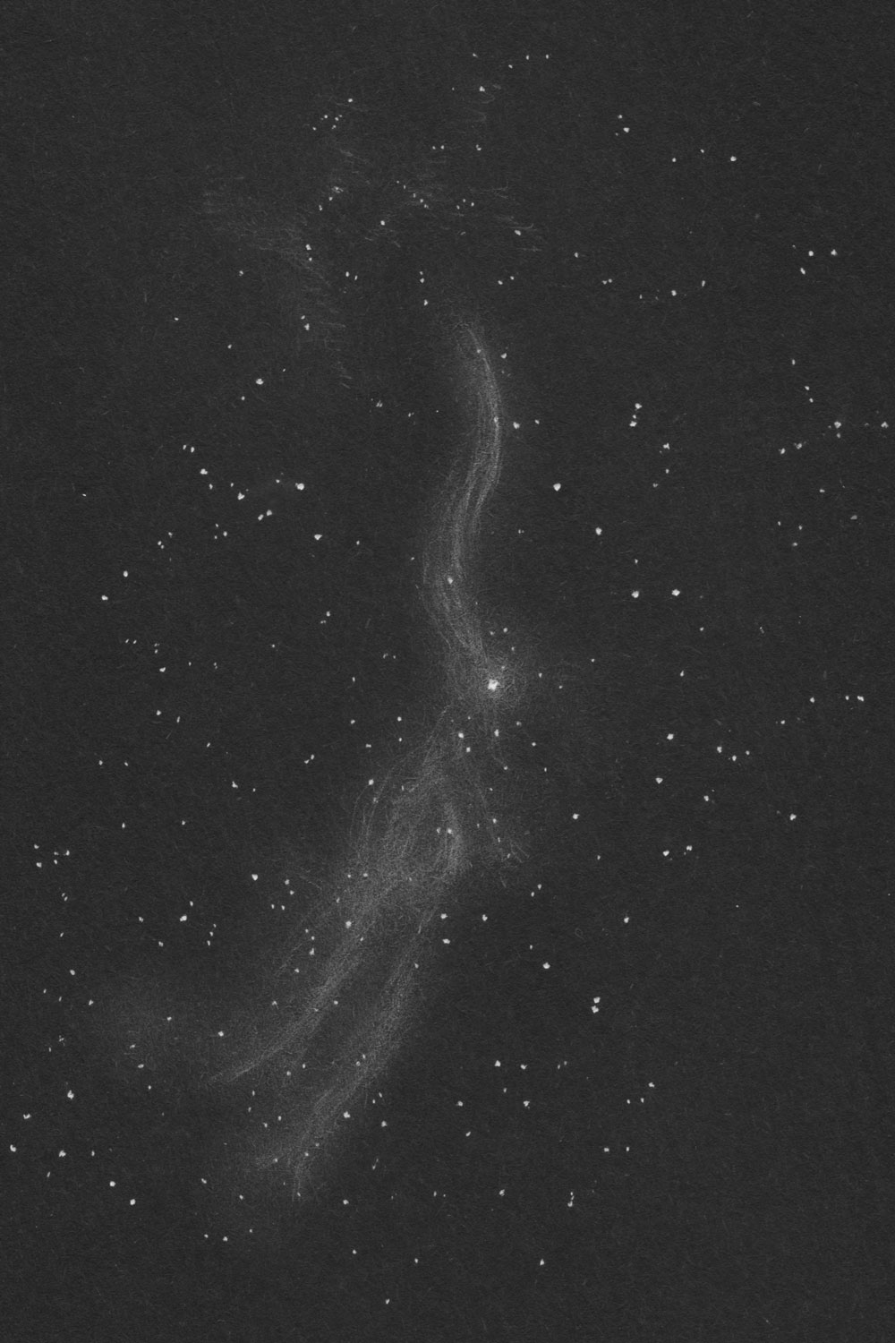 C34網状星雲 (NGC6960)のスケッチ