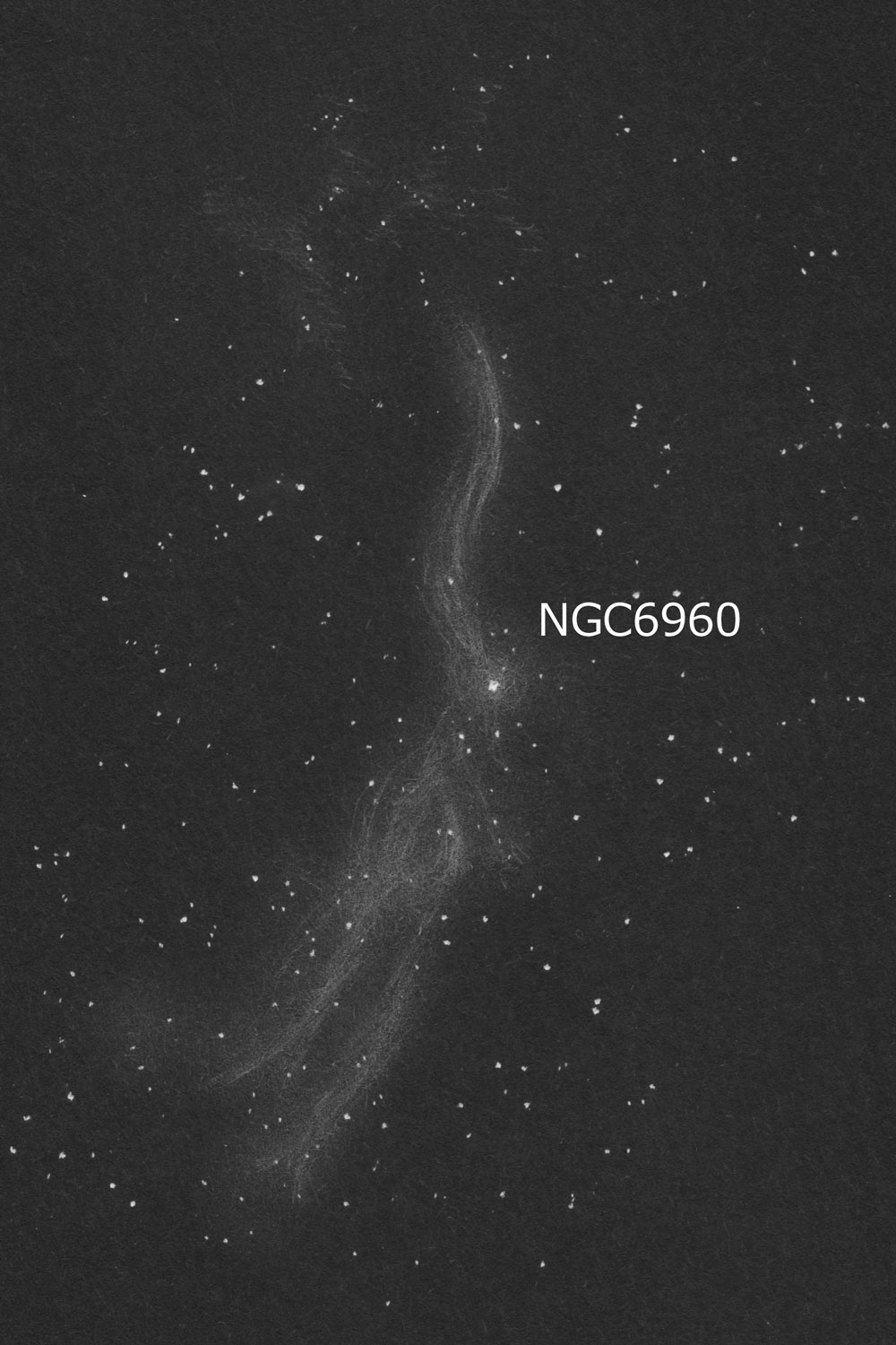 C33網状星雲 (NGC6960) のスケッチ