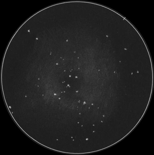 C49,C50ばら星雲のスケッチ