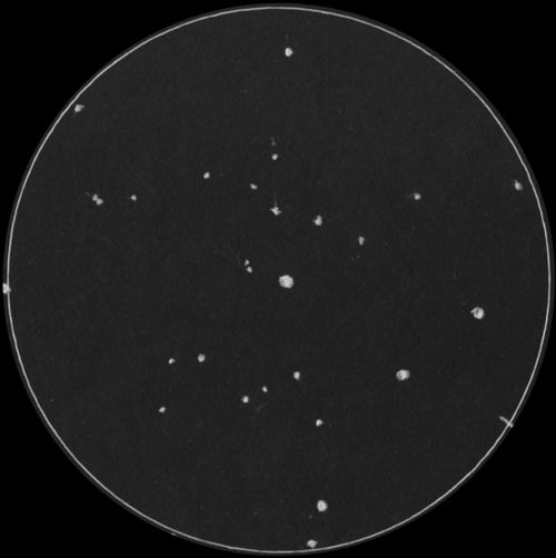 網状星雲付近のスケッチ1