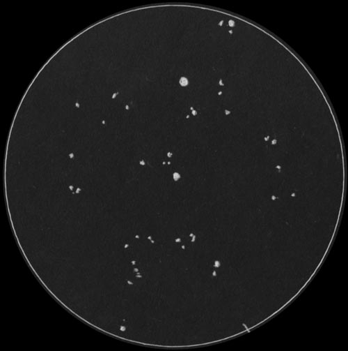 網状星雲付近のスケッチ2