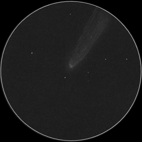 C/2023 A3 紫金山アトラス彗星のスケッチ