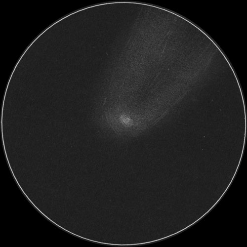 C/2023 A3 紫金山アトラス彗星のスケッチ