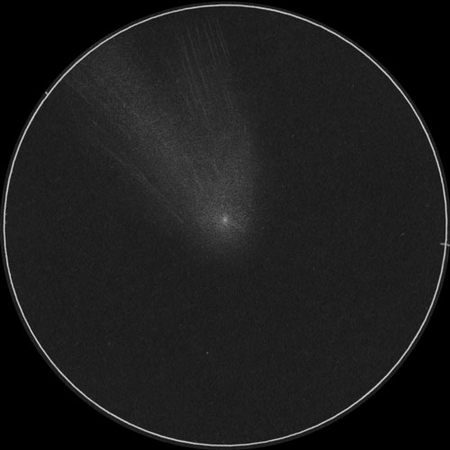 C/2023 A3 紫金山アトラス彗星のスケッチ