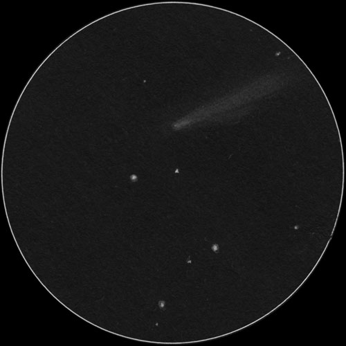 C/2025 K1 アトラス彗星のスケッチ
