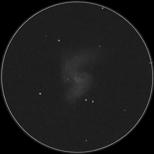 Arp214のスケッチ