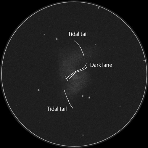 Arp214 (NGC3718)のスケッチ