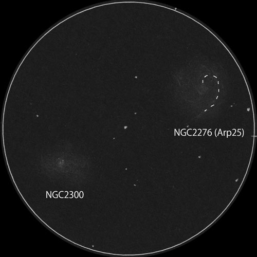 Arp25, Arp114のスケッチ