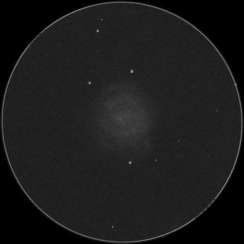 Arp28のスケッチ