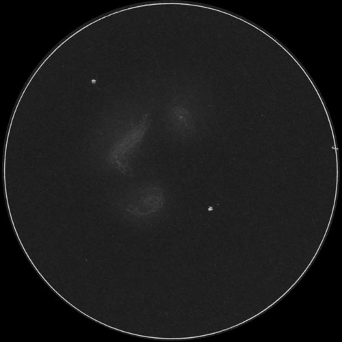 Arp34のスケッチ