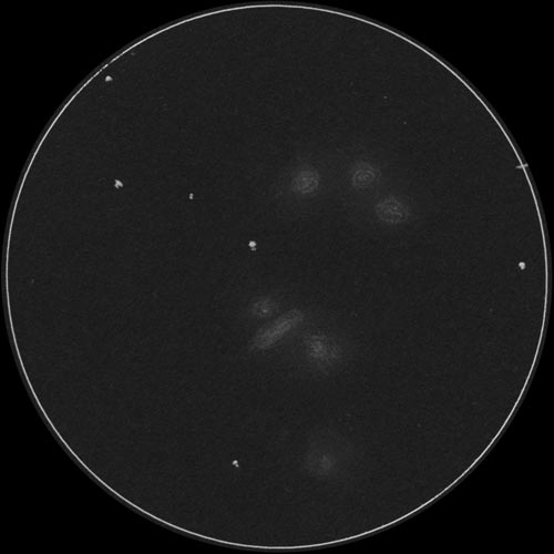 コープランドの七つ子のスケッチ