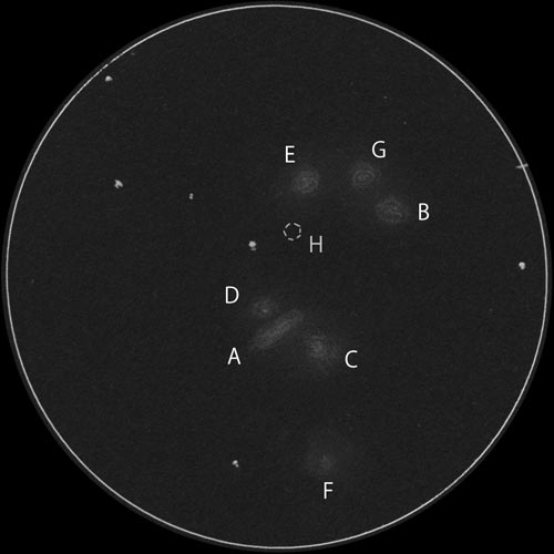 コープランドの七つ子のスケッチ(解説付き)