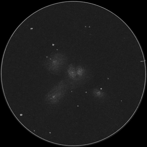 ステファンの五つ子のスケッチ