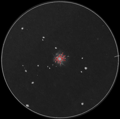 M2�̃X�P�b�`