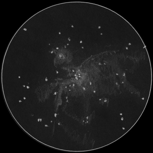 M42,M43のスケッチ