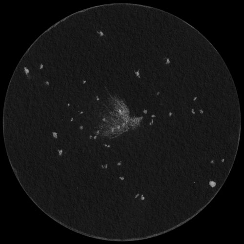 M42.M43のスケッチ