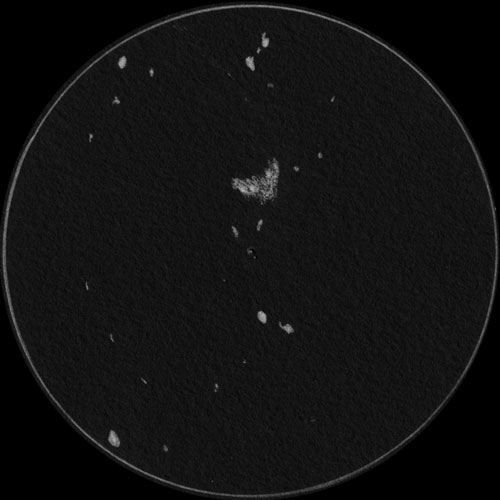 M42.M43のスケッチ