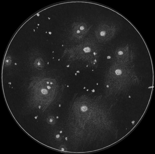 M45のスケッチ
