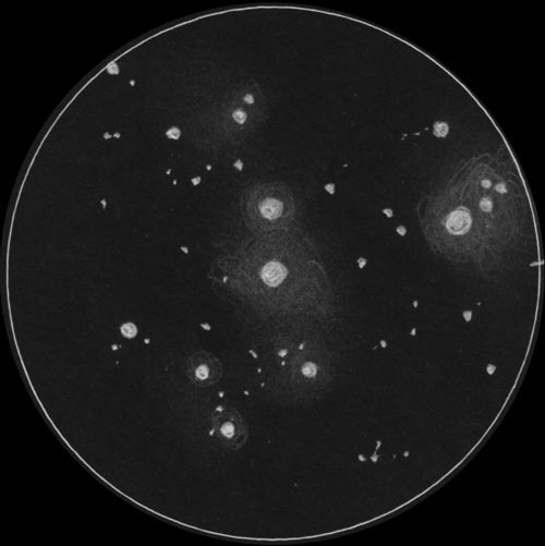 M45プレアデス星団のスケッチ