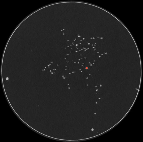 M50�̃X�P�b�`