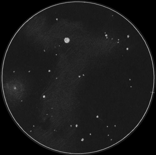 xi Ori付近のスケッチ