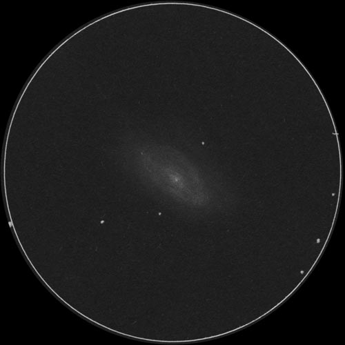 NGC3646