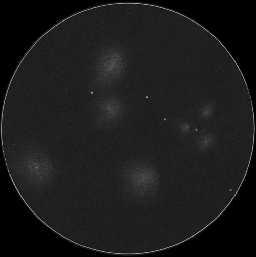 NGC439, NGC441 (AGCS141)