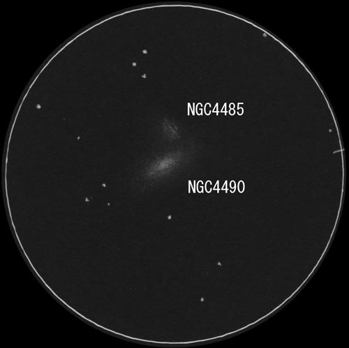 NGC4490�܂��͂̃X�P�b�`