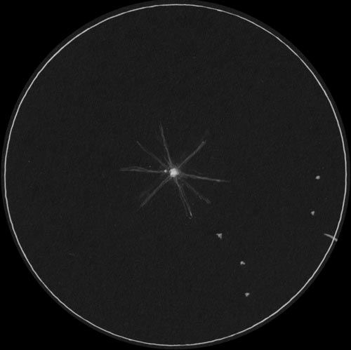 シリウスBのスケッチ